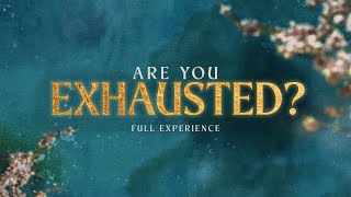 I'm Exhausted | Run with the Horses | Full Experience