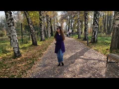 Алма Ата Березовая аллея в Ботаническом саду 20 10 2023