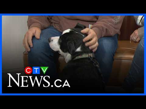 Local animal rescue partnering with Indigenous communities