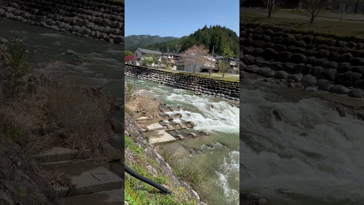 恵那市上矢作で自然探索