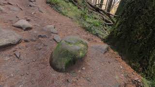 Conic Hill 05/11/2020