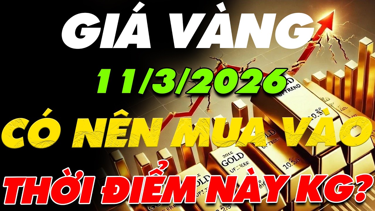 PHÂN TÍCH XU HƯỚNG GIÁ VÀNG HÔM NAY NGÀY:11/3/2026 CÓ NÊN MUA VÀO THỜI ĐIỂM NÀY HAY KHÔNG?