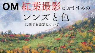 OM】紅葉撮影におすすめのレンズと色の設定について - YouTube