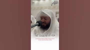 تلاوت سورة الاحقاف. || راح قلبك |🤍🎧