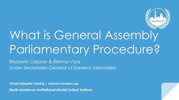 Virtual Delegate Training: What is General Assembly Parliamentary Procedure?