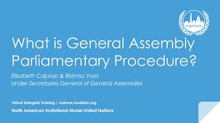 Virtual Delegate Training: What is General Assembly Parliamentary Procedure? Net Worth