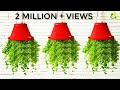 How To Make Hanging Plant Pot//Turtle Vine plant hanging idea/hanging plants/Garden4u