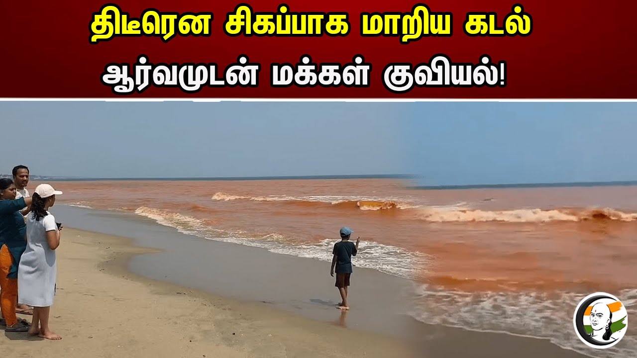 திடீரென சிகப்பாக மாறிய கடல் ஆர்வமுடன் மக்கள் குவியல்! | Puducherry