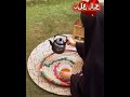 تصوير منزلي محارم حنان علي