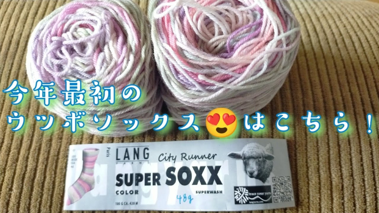 ウツボソックス🧦】今年最初のウツボソックスはこちら!ラップを一気に