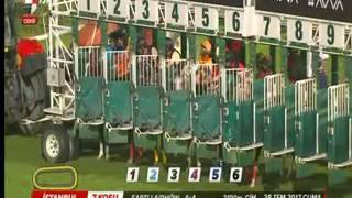 Baba Atli Şartli-44A 28072017