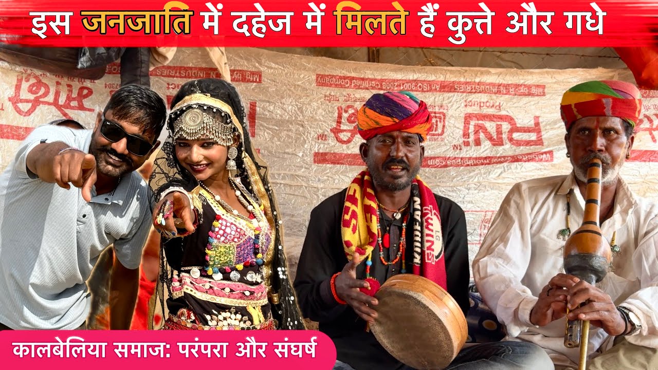 इस जनजाति में दहेज में मिलते हैं कुत्ते और गधे | कालबेलिया की संस्कृति जिसने दुनिया को मोहित किया