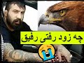 Ebi Aali Del Shekasteh اهنگ جدید ابی عالی دلشکسته به عشق داش وحید مرادی