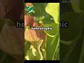 Meet partially heterotrophic plants #Plants #Biology #Science #Nature #Education # class11 biology