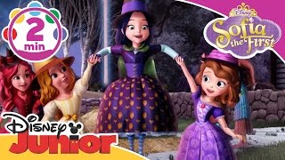 Sofia the First |  Broomstick Dance | @disneykids