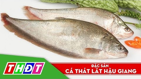 THDT - Đặc sản Cá thát lát Hậu Giang - Ngõ ngách miền Tây