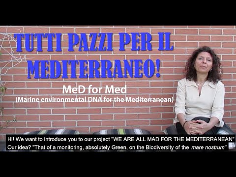 Tutti pazzi per il Mediterraneo! - Progetto MeD for Med per monitorare la biodiversità marina