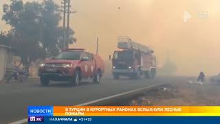 В Турции в курортных районах вспыхнули лесные пожары
