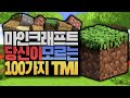 당신이 모르던 마인크래프트 100가지 TMI #1 [블루위키]