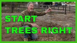 How to Plant and Prune Fruit Trees