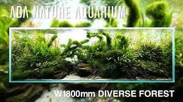 [ADAview] DIVERSE FOREST／ダイバースフォレスト  - W1800mm Nature Aquarium Layout-【EN/JP Sub.】