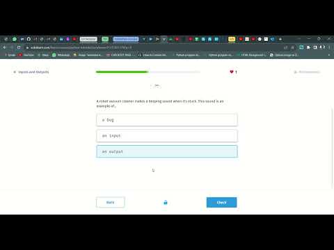 20 Inputs and Outputs | Introduction to Python | Sololearn