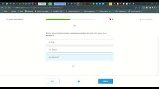 20 Inputs and Outputs | Introduction to Python | Sololearn