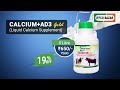 Calcium  ad3 gold  cattle feed supplement  iffco bazar
