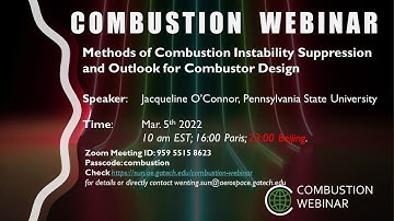 Methods of Combustion Instability Suppression and Outlook for Combustor Design