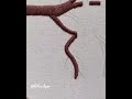 طريقة تطريز شجرة بغرز سهلة Shorts Tree Embroiderytutorials Stitch Embroidery Art 