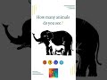 👀 Find The hidden Younique animal quiz game 🥴 #shorts #youtubeshorts #viral #youtubecreator
