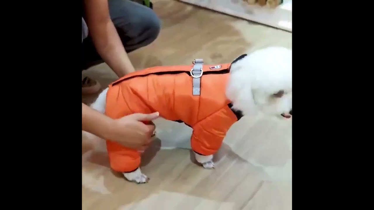 Ultimate Winter Warmth: 4-Leg Windproof Dog Snowsuit with Reflective Safety!❤️🐶 