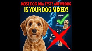 Top 5 Dog Dna Testing Kits 2026 Dont Waste Your Money