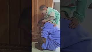 super monkey Su tries to make ku happy#shorts#babymonkey#animal