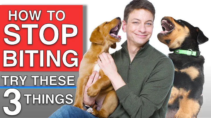 How To Train Your Puppy to STOP BITING You! 3 Proven Techniques That WILL Work!