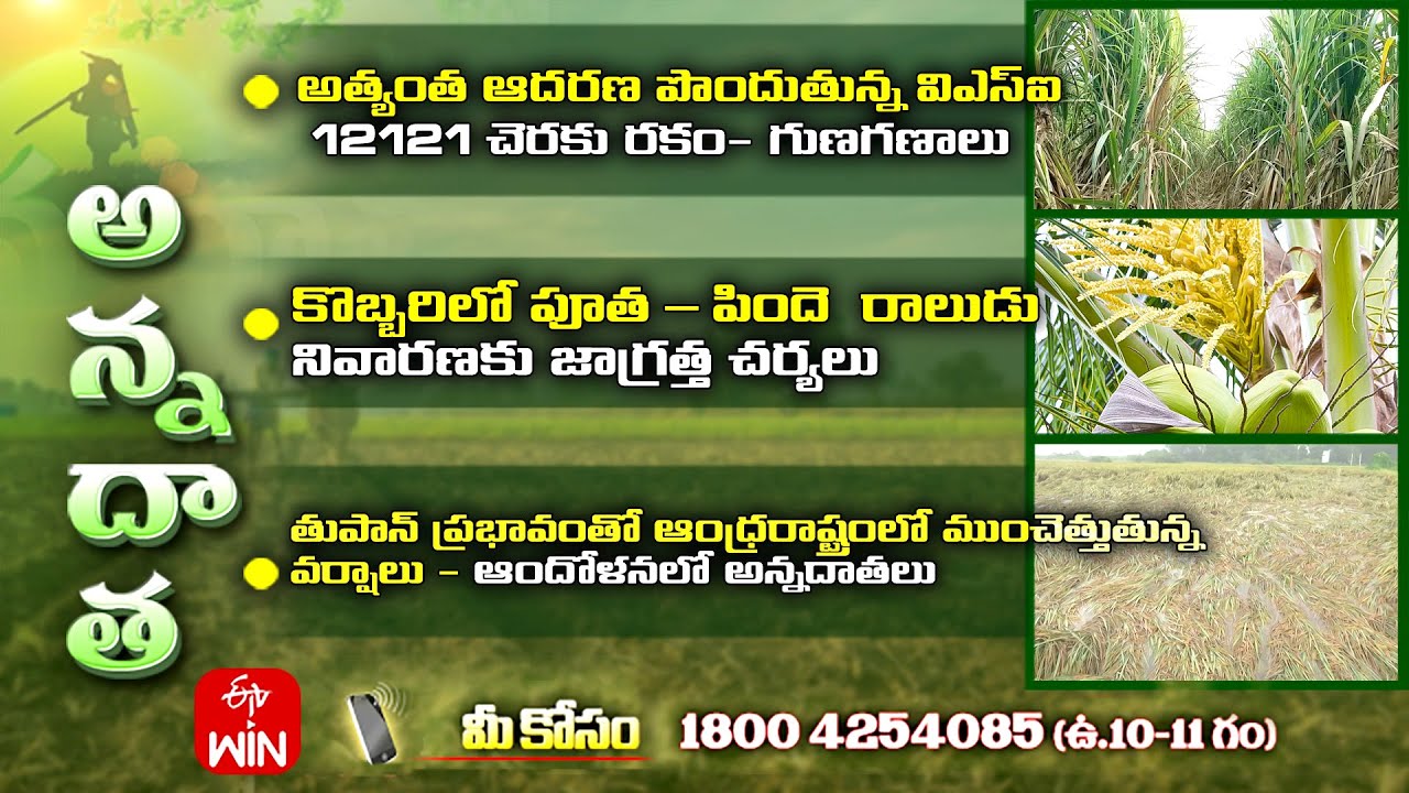 6th December 2023 Annadata Full Episode ETV Telugu 6th December 2023 Annadata Full Episode ETV Telugu