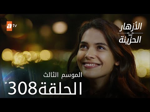 مسلسل الأزهار الحزينة الحلقة 308 الموسم الثالث