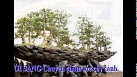 [[[0932351048.]] nhận cắt, tỉa, chăm sóc cây cảnh quận hóc môn.tphcm