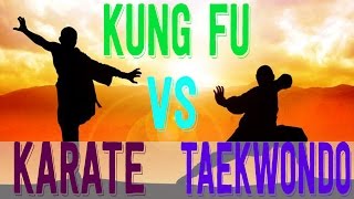 Martial Arts: Kung Fu vs Taekwondo vs Karate screenshot 3