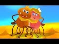 Incy Wincy Spider | From Kids TV