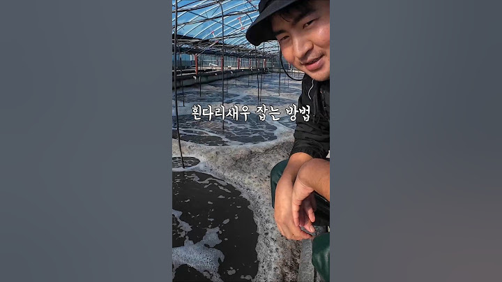 흰다리새우 잡는 방법! 바이오플락 흰다리새우 양식 #어촌의달인 #새우양식 #새우유통 #왕새우