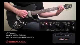 Bad Cat Black Cat 30R Head With B3 Phoenix And Fender Custom Shop Nos Strat