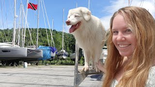 Our Daily Routine Living on a Sailboat in Trinidad - Shipyard Edition!