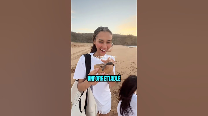 Tourist releases turtles to start their new lives 🥹💓 (🎥 IG/@amayaancr)