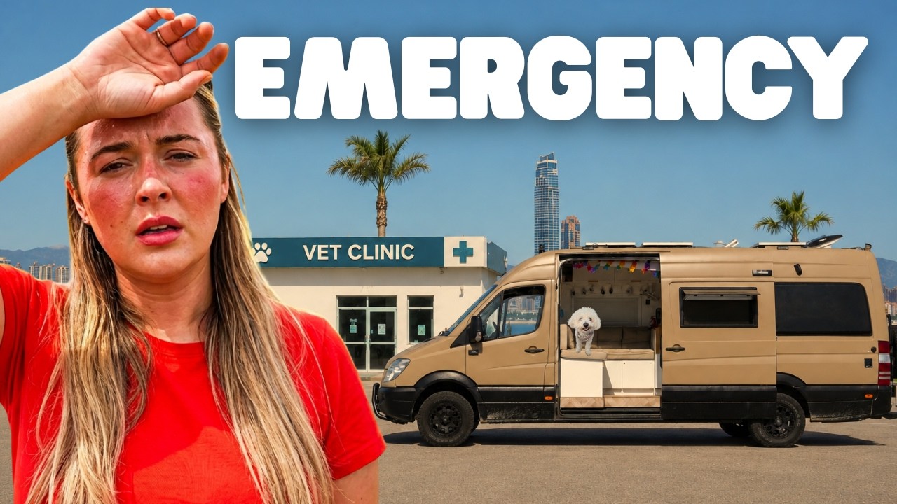 VAN LIFE REALITY | Emergency Vet Visit & 44°C Heatwave