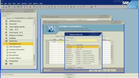SAP Business One Query Wizard - LPS Consulting Co., Inc.