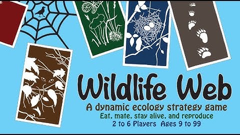 Wildlife Web: A dynamic ecology strategy game