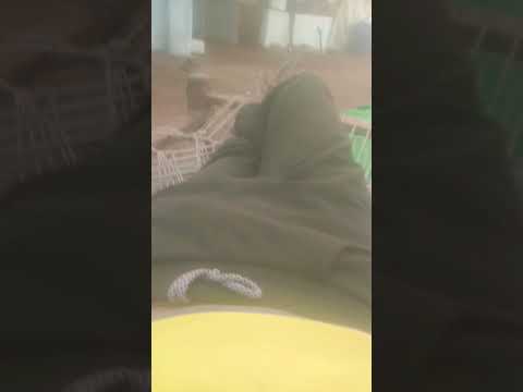 October 27, 2025