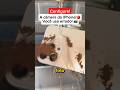 Configure a câmera do seu iPhone para ter a maior qualidade possível com esses ajustes!