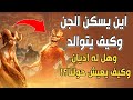 أين يسكن الجن وكيف يتوالد وينجب وهل له أديان وكيف يعيش حولنا أسرار نتناولها لأول مرة 